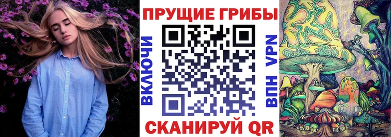 hydra ссылка  Сарапул  Псилоцибиновые грибы прущие грибы 